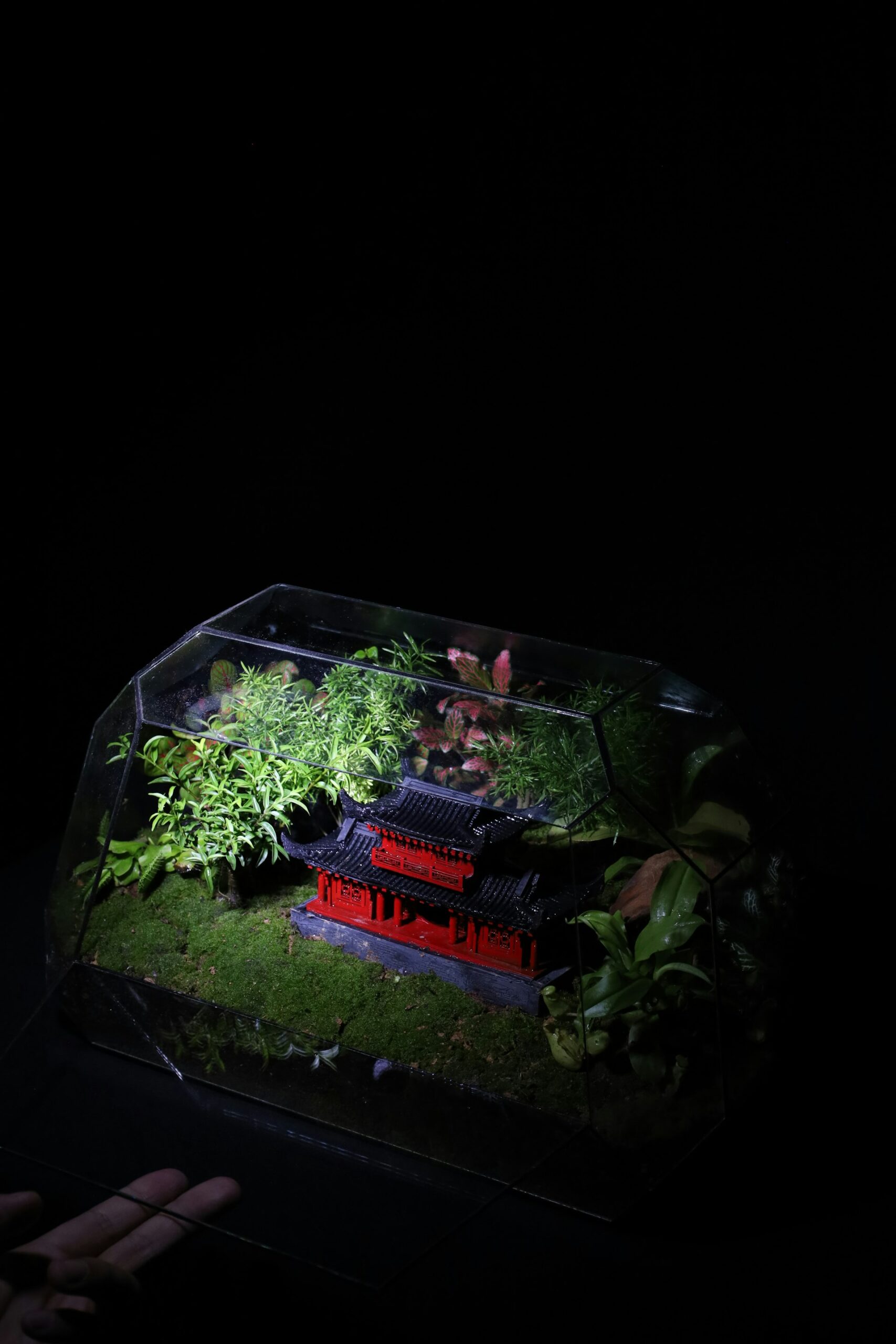 Create Your Own Miniature Terrarium: Step-by-Step Design and Inspiration