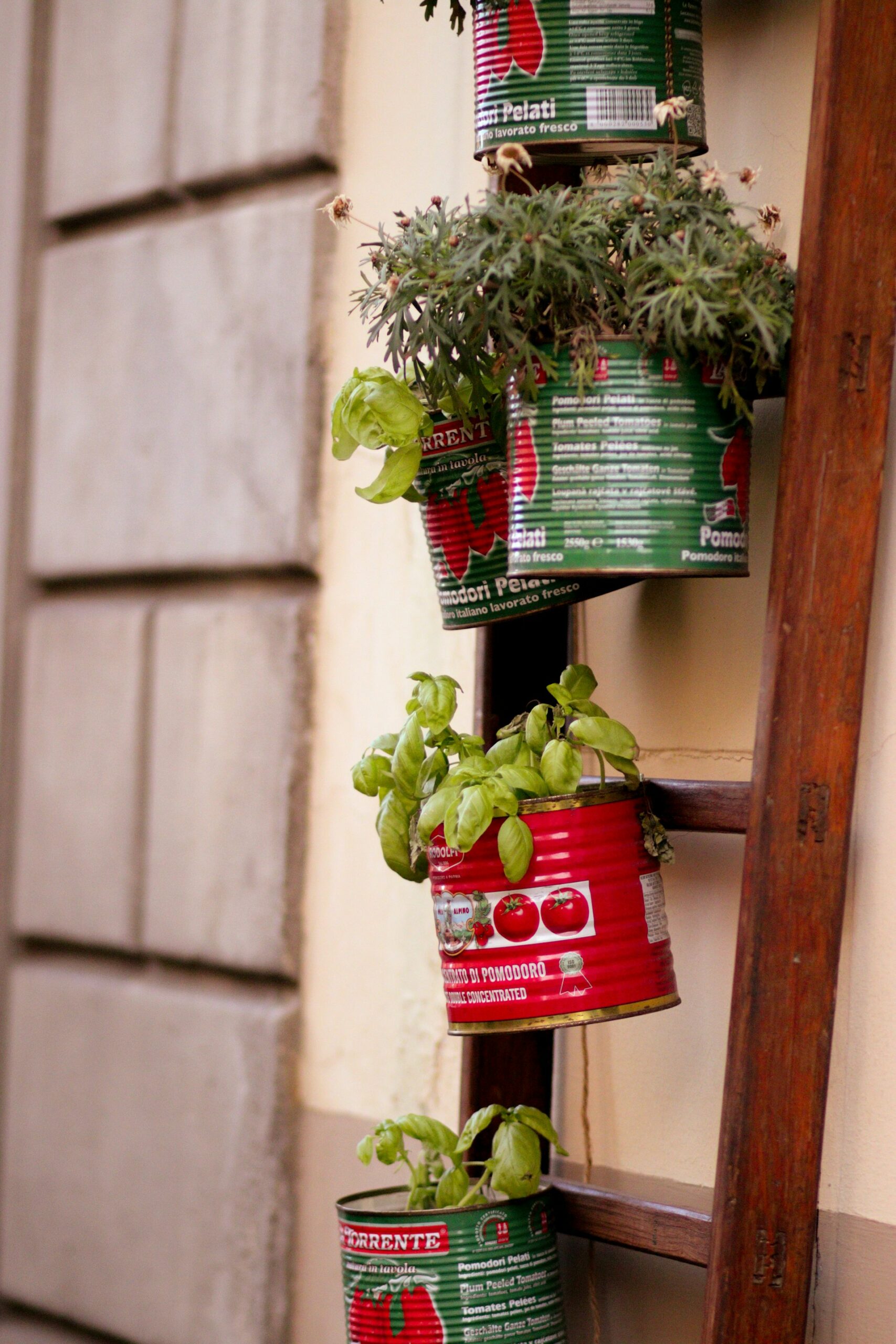 Creative Upcycled Container Gardens: Transform Household Items Into Unique Planters