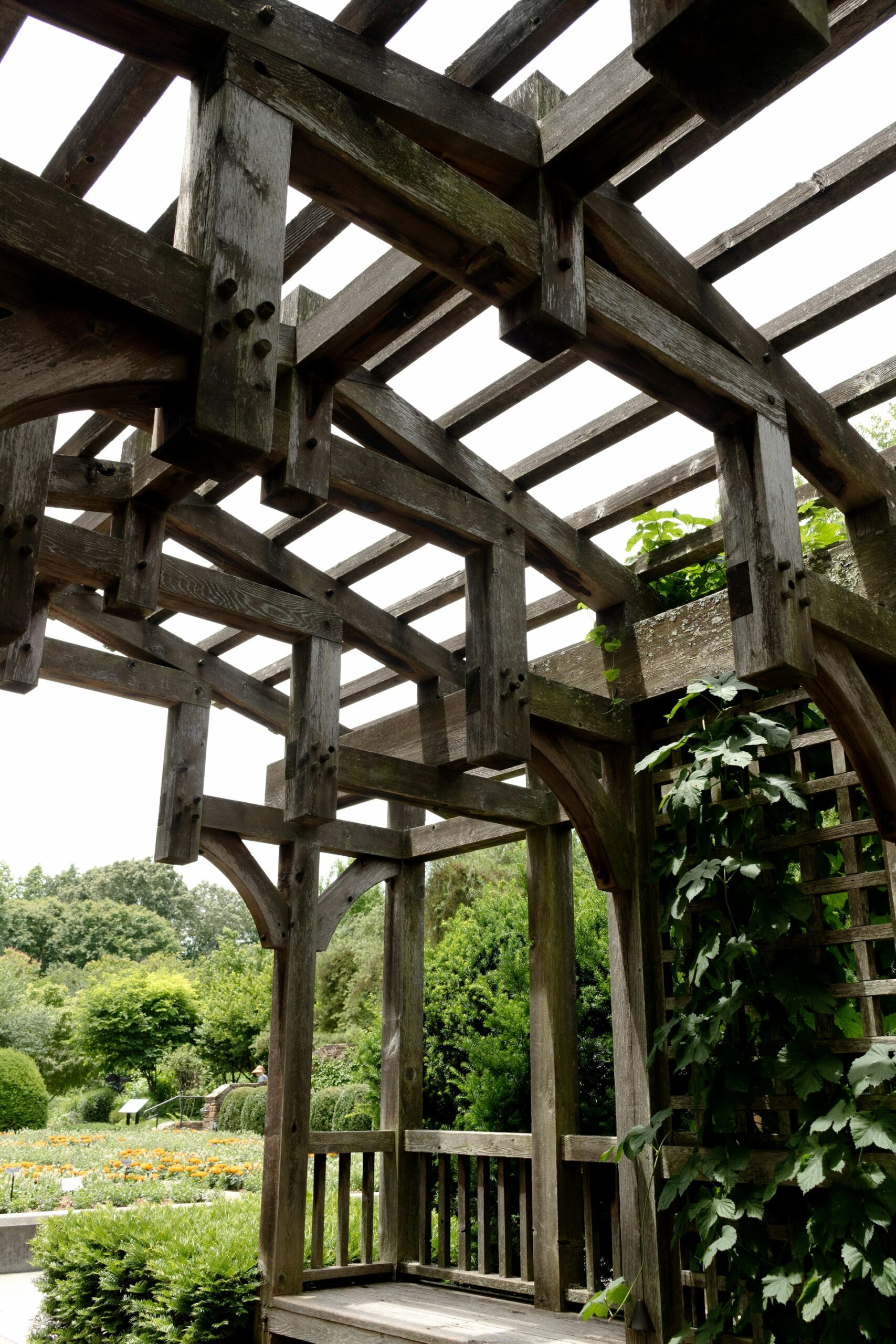 Creative Ways to Build a Rustic Garden Trellis from Reclaimed Wood