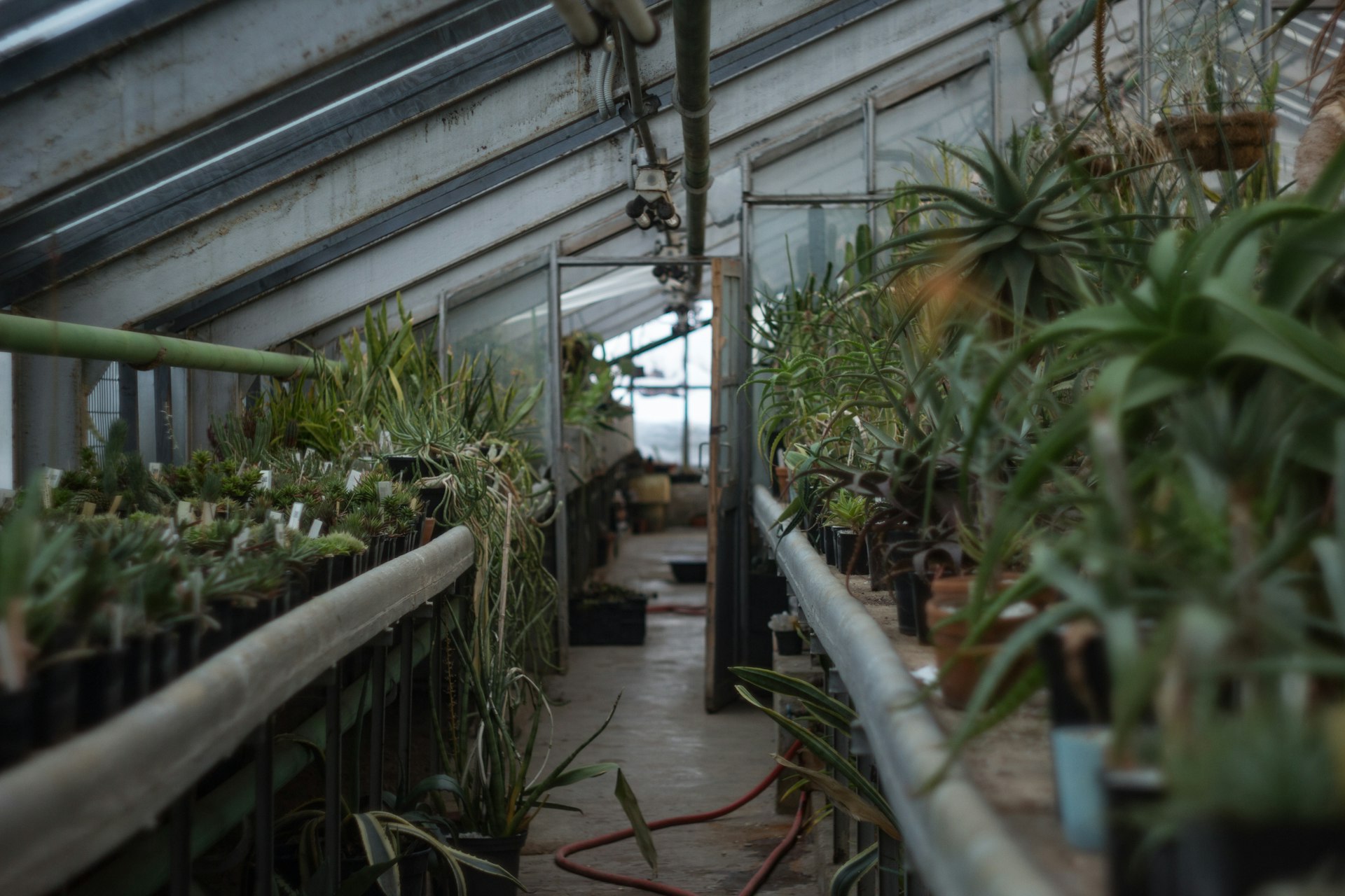 Effective Modifications for Tiny Greenhouses in Cold Climates: Step-by-Step Strategies for Year-Round Growth