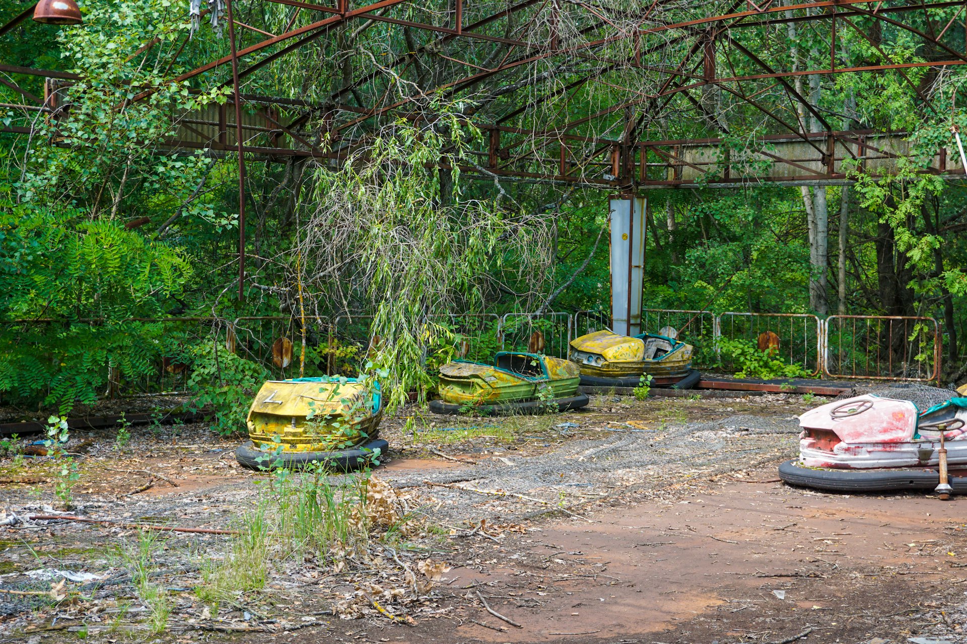 Transform Your Outdoor Space: Actionable DIY Backyard Landscaping Projects for Every Home